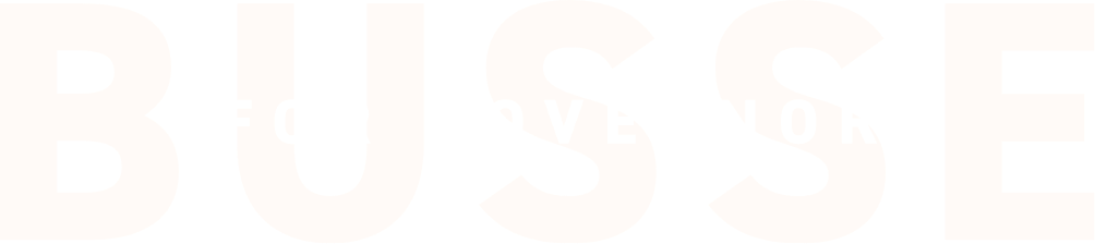 BUSSE for Governor graphic